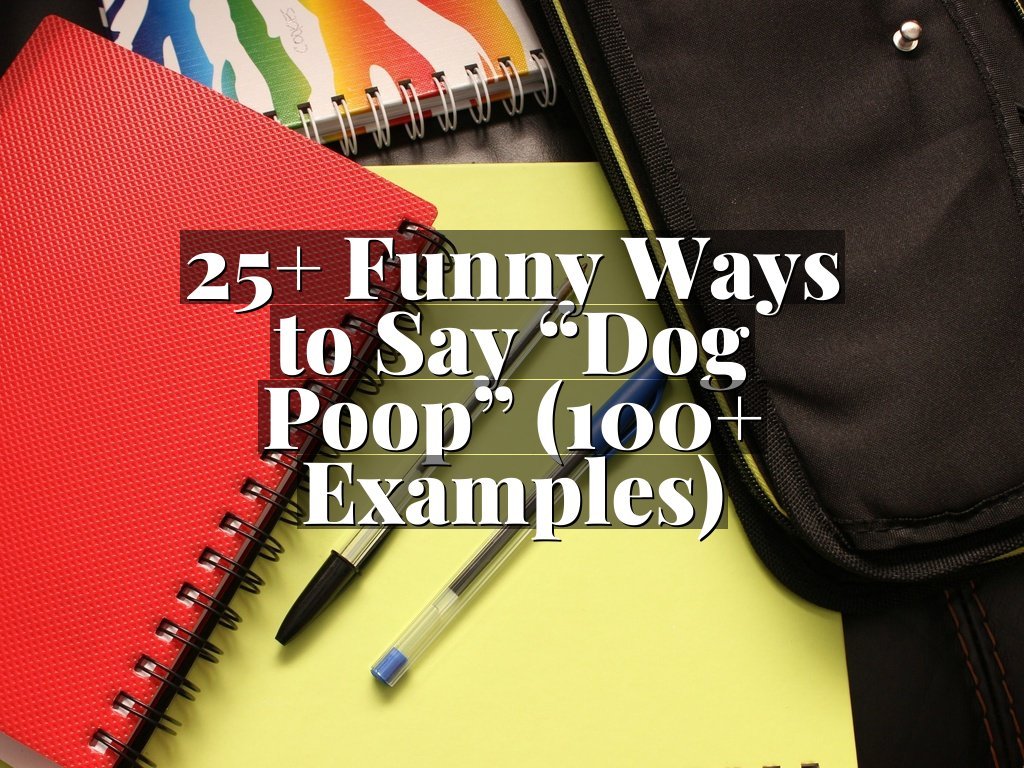 25+ Funny Ways to Say “Dog Poop” (100+ Examples)